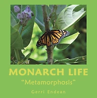 Monarch Life: "Metamorphosis"