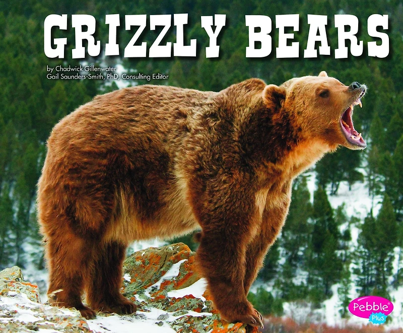 Grizzly Bears