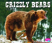 Grizzly Bears