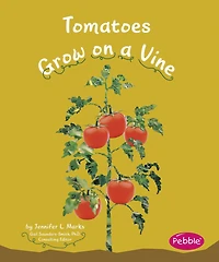 Tomatoes Grow on a Vine