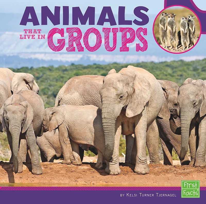 Animals That Live Groups