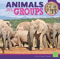 Animals That Live Groups