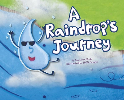 A Raindrop's Journey