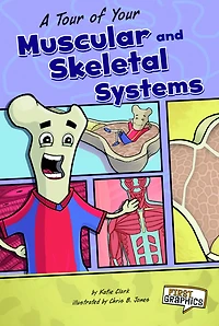 A Tour of Your Muscular and Skeletal Systems