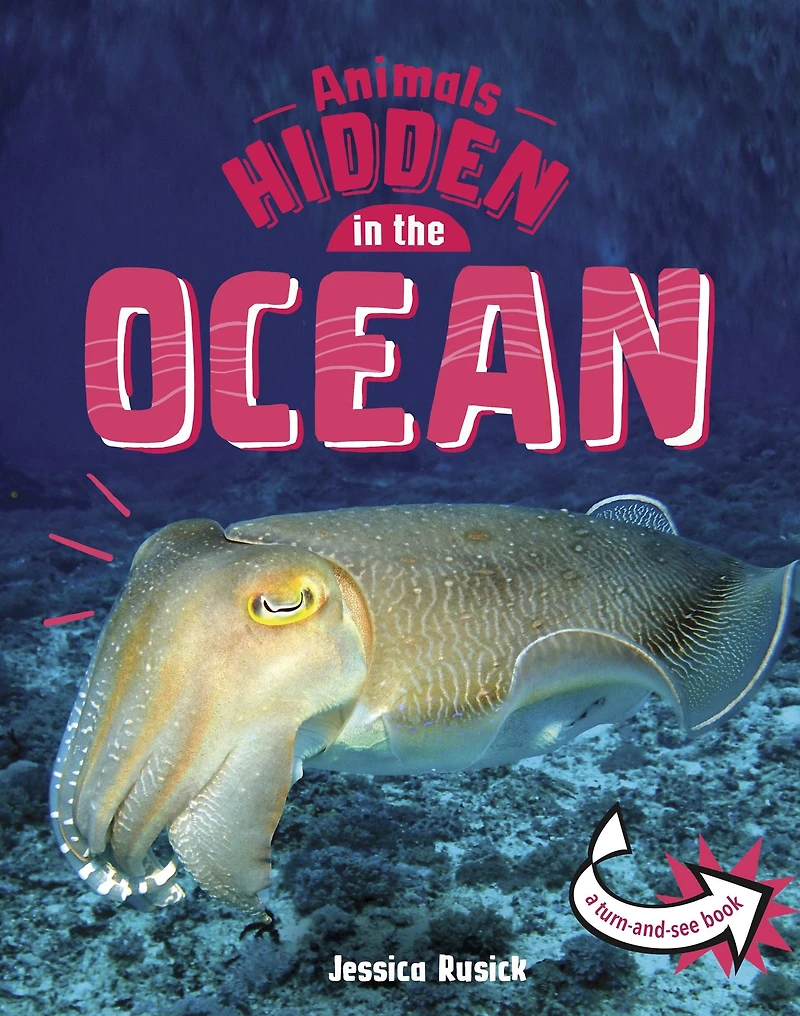 Animals Hidden the Ocean
