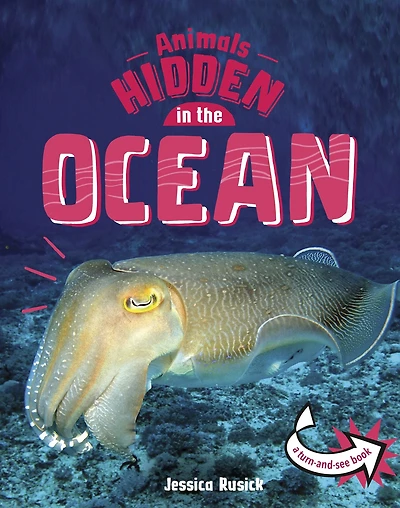 Animals Hidden the Ocean