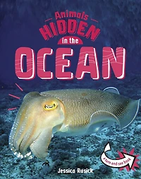 Animals Hidden the Ocean