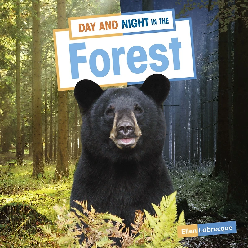 Day and Night the Forest