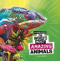 The World's Most Amazing Animals