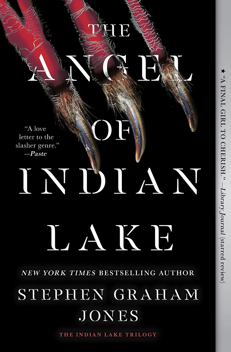 The Angel of Indian Lake (Indian Trilogy #3)