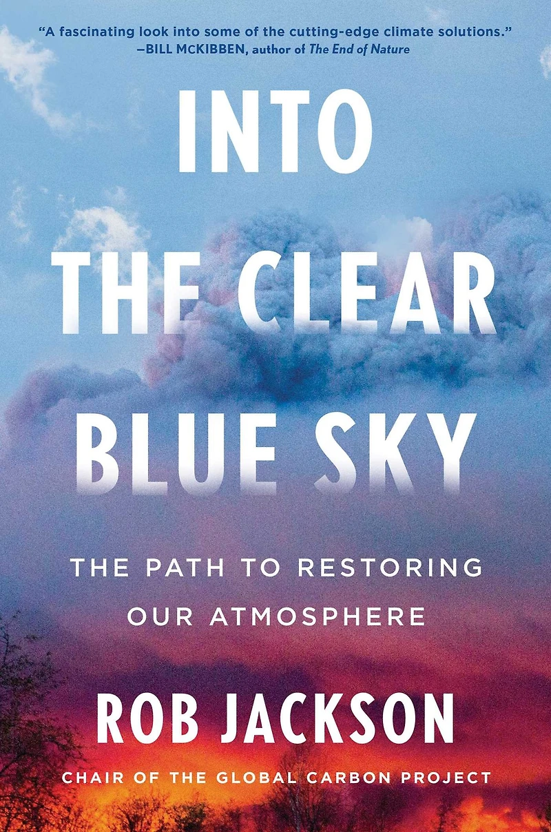 Into The Clear Blue Sky: Path to Restoring Our Atmosphere