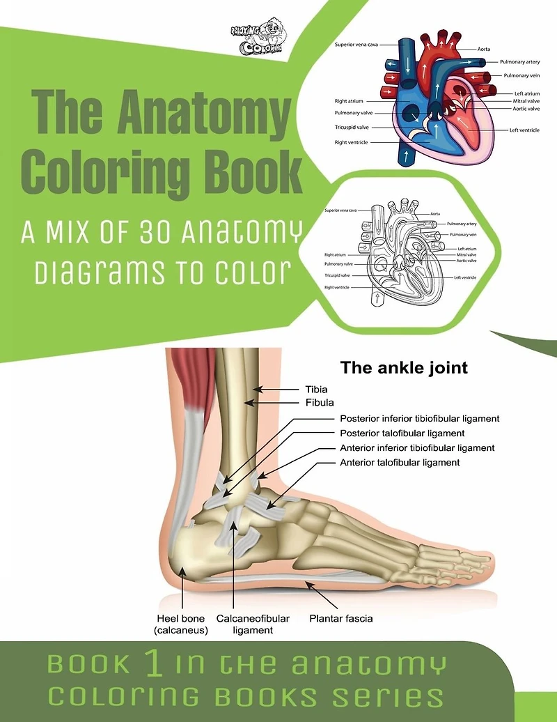 The Anatomy Coloring Book
