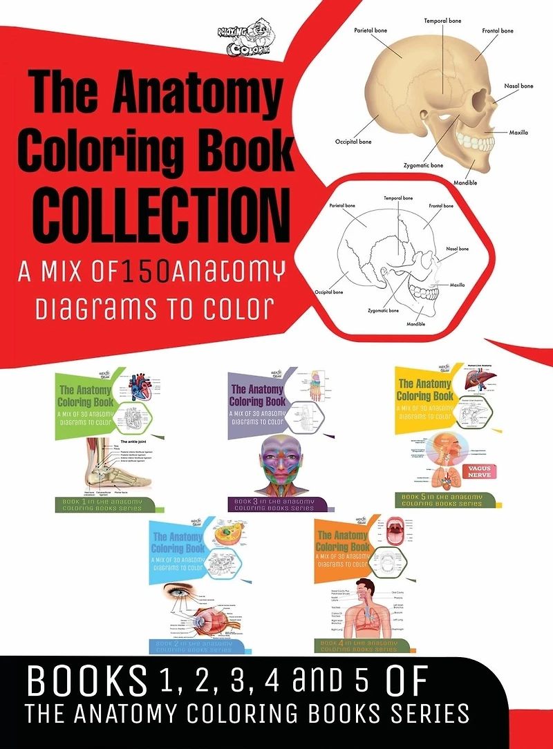 The Anatomy Coloring Book Collection (Books 1, 2, 3, 4 and 5)
