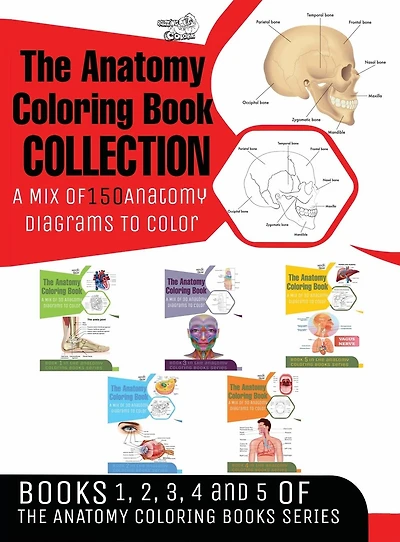 The Anatomy Coloring Book Collection (Books 1, 2, 3, 4 and 5)
