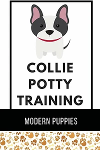 Collie Potty Training: Modern Puppies: