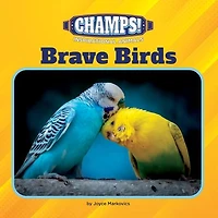 Brave Birds