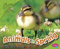 Animals Spring