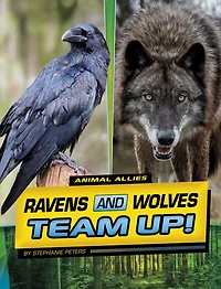 Ravens and Wolves Team Up!