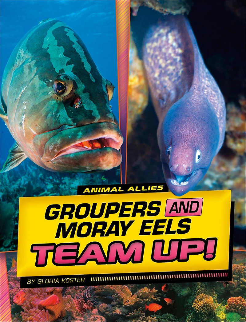 Groupers and Moray Eels Team Up!