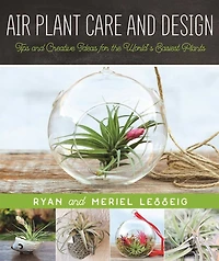 Air Plant Care and Design: Tips Creative Ideas for the World's Easiest Plants
