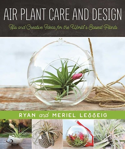 Air Plant Care and Design: Tips Creative Ideas for the World's Easiest Plants