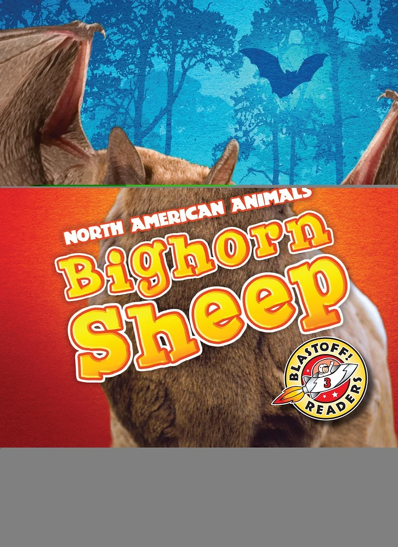 Bighorn Sheep