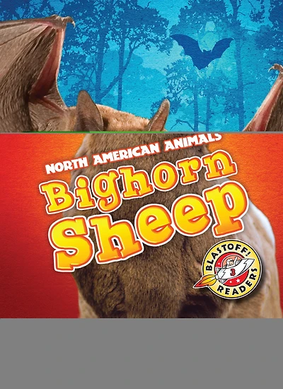 Bighorn Sheep