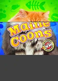 Maine Coons
