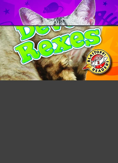 Devon Rexes