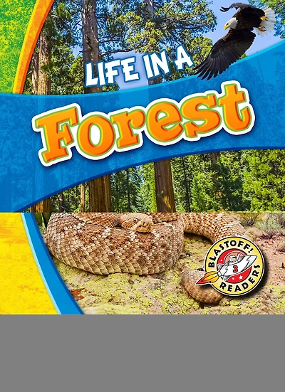 Life a Desert