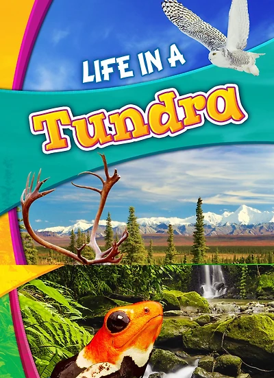 Life a Tropical Rain Forest