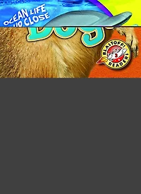 Prairie Dogs
