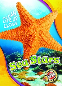 Sea Stars