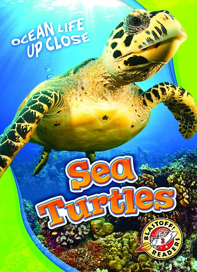 Sea Turtles