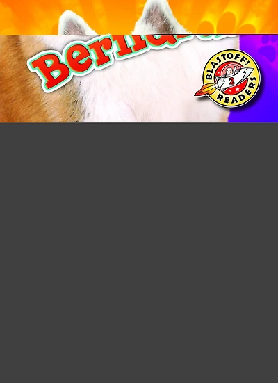 Saint Bernards