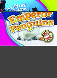 Emperor Penguins