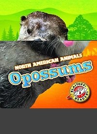 Opossums