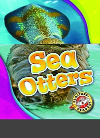 Sea Otters