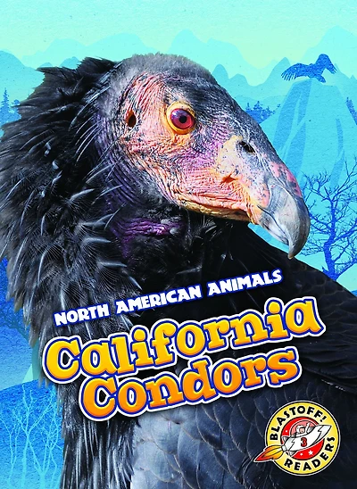 American Badgers