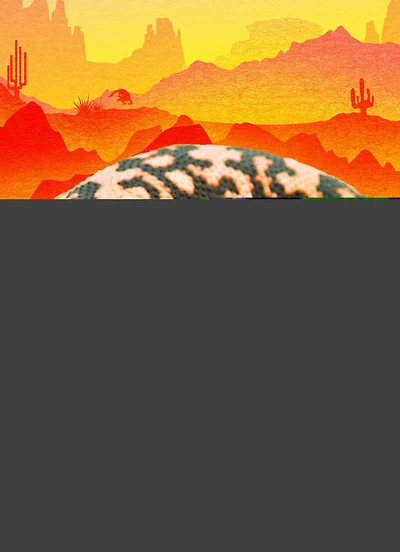 California Condors