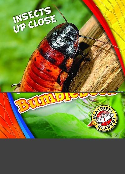 Bumblebees