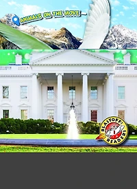 The White House