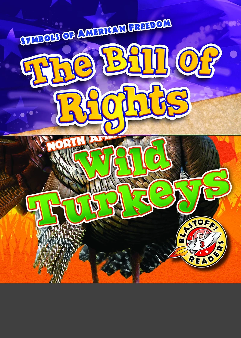 Wild Turkeys