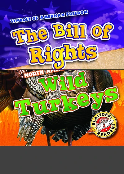 Wild Turkeys