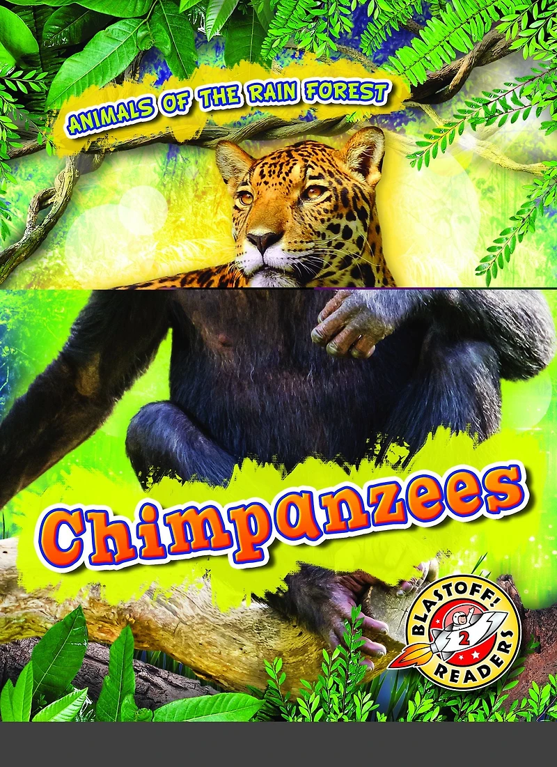 Chimpanzees