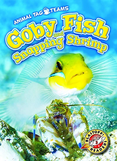 Goby Fish and Snapping Shrimp