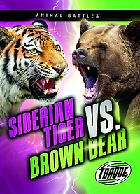 Siberian Tiger vs. Brown Bear