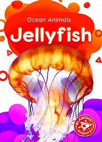 Jellyfish
