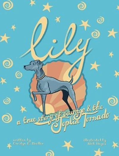 Lily: A True Story of Courage and the Joplin Tornado