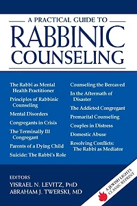 A Practical Guide to Rabbinic Counseling: Jewish Lights Classic Reprint